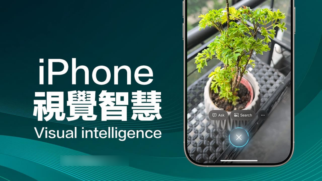 iPhone 16 视觉智能：开启手机摄影新篇章